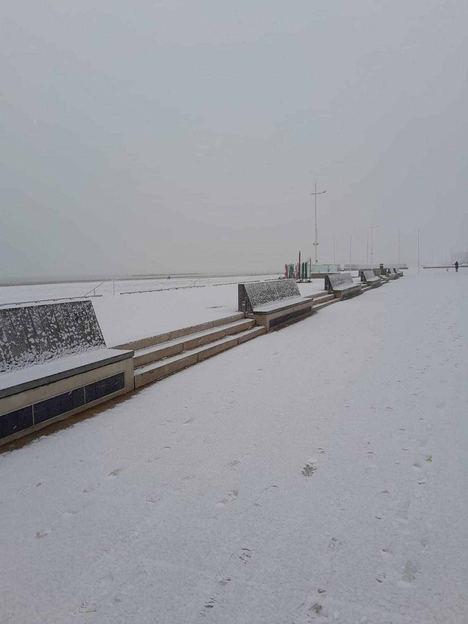 Maison De Ville Restylee Avec Jardin, Proche Gare Dunkirk Exteriér fotografie